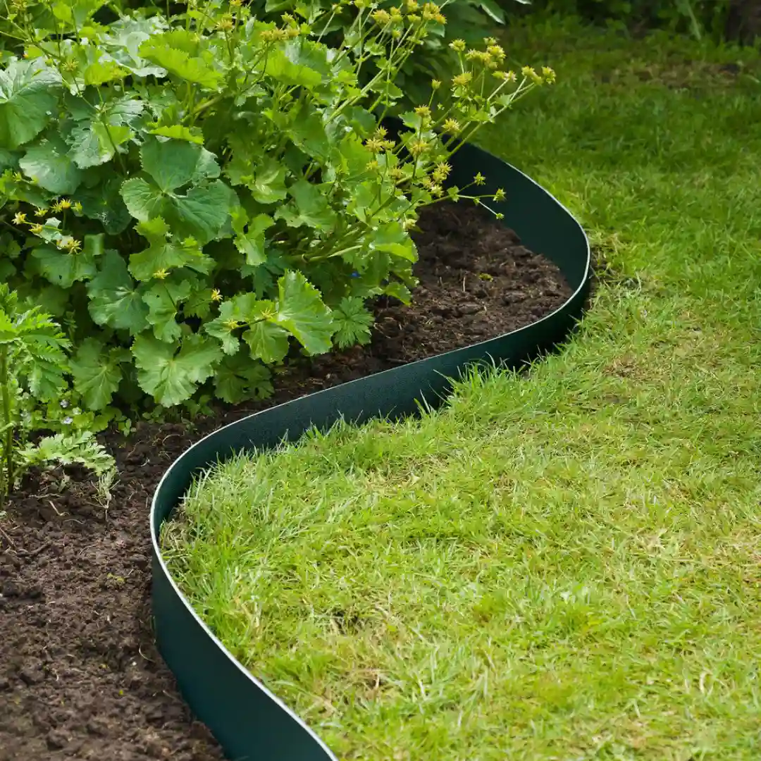 Divisor de Grass - Imagen 2